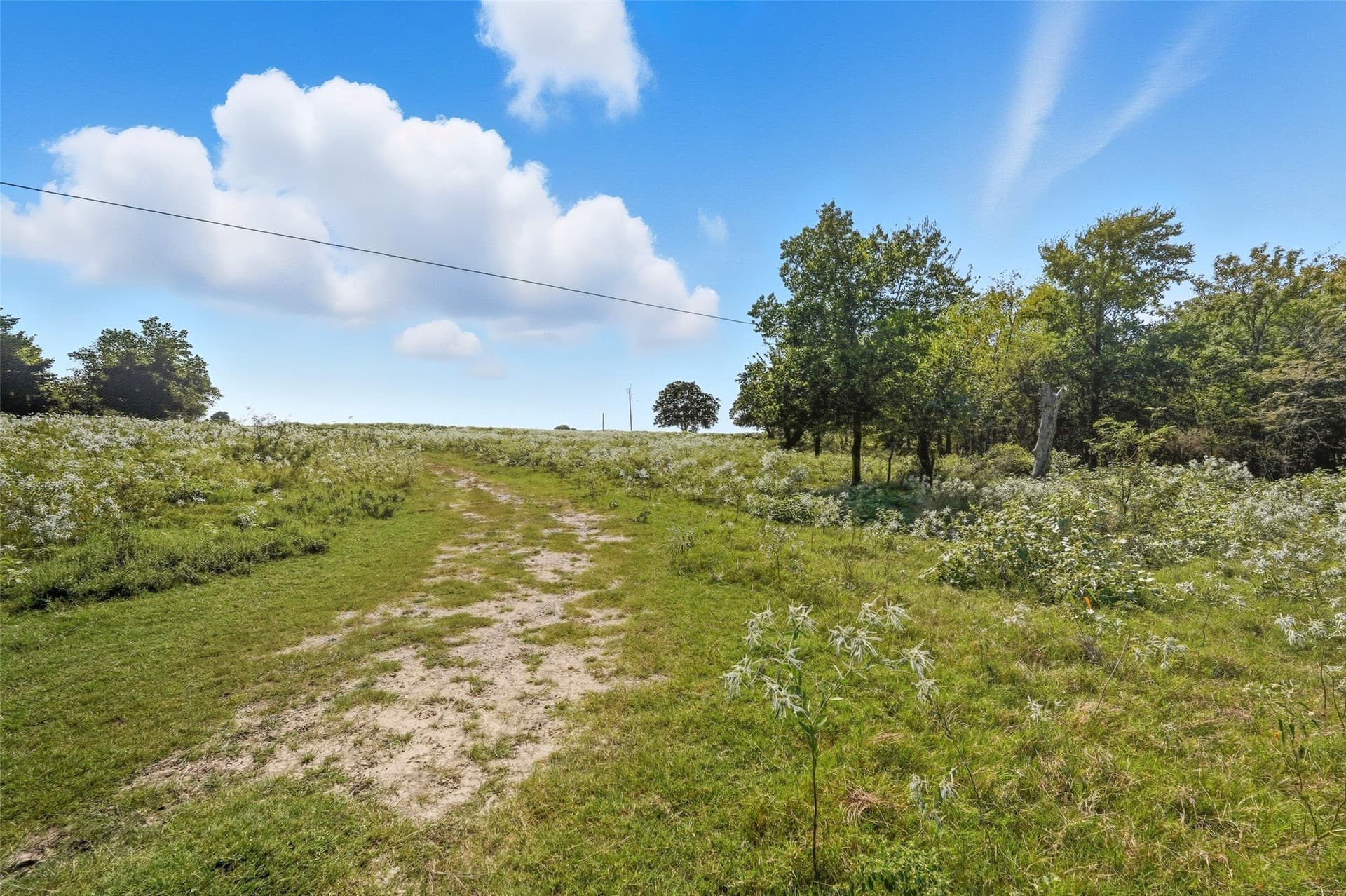 79.96 acres in Hunt County - photo 12