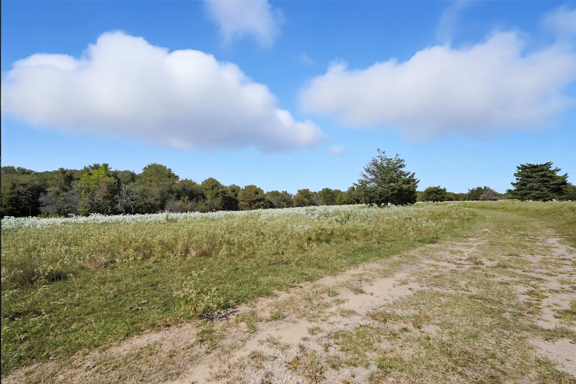 79.96 acres in Hunt County - photo 26