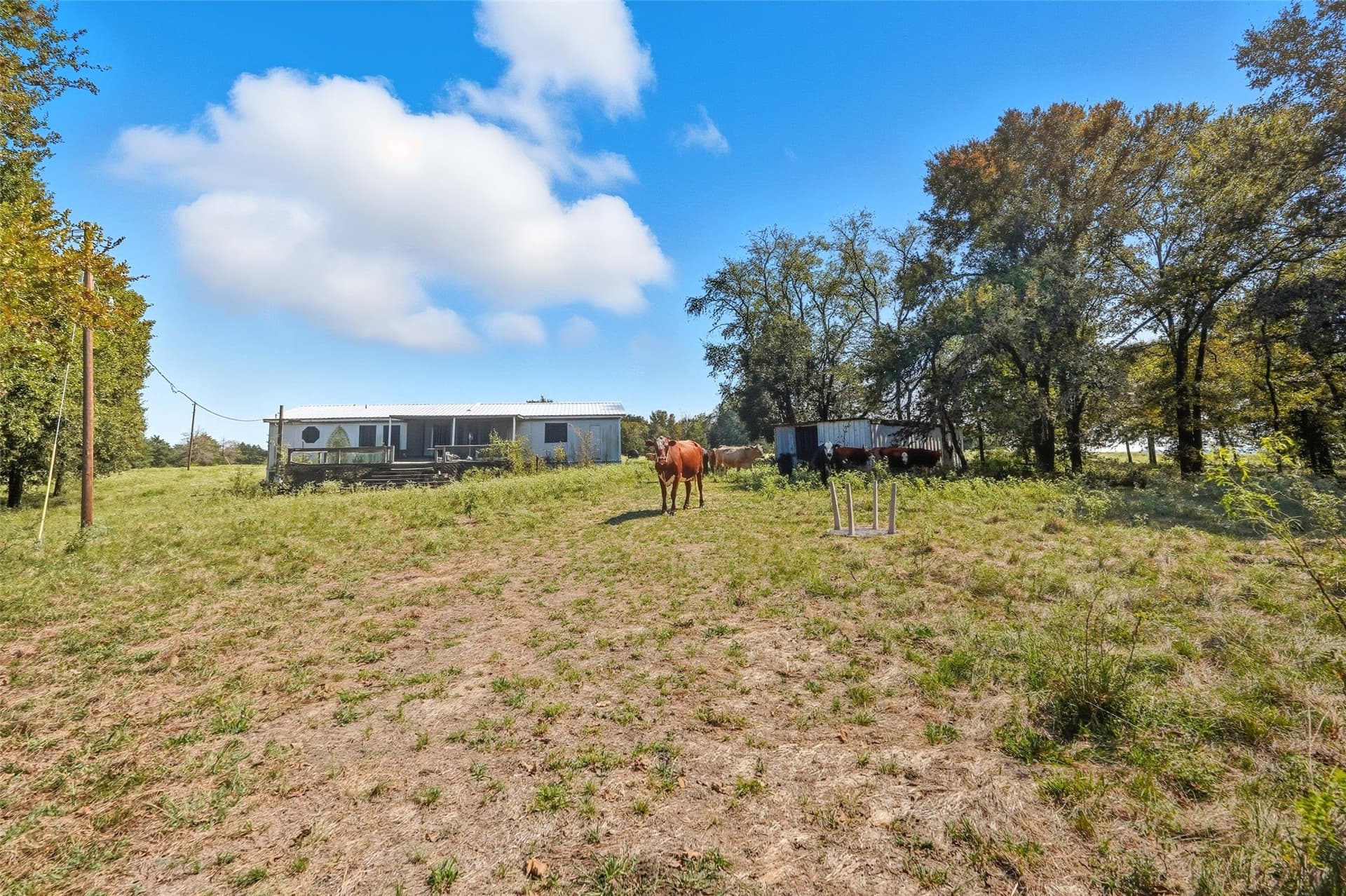 79.96 acres in Hunt County - photo 20