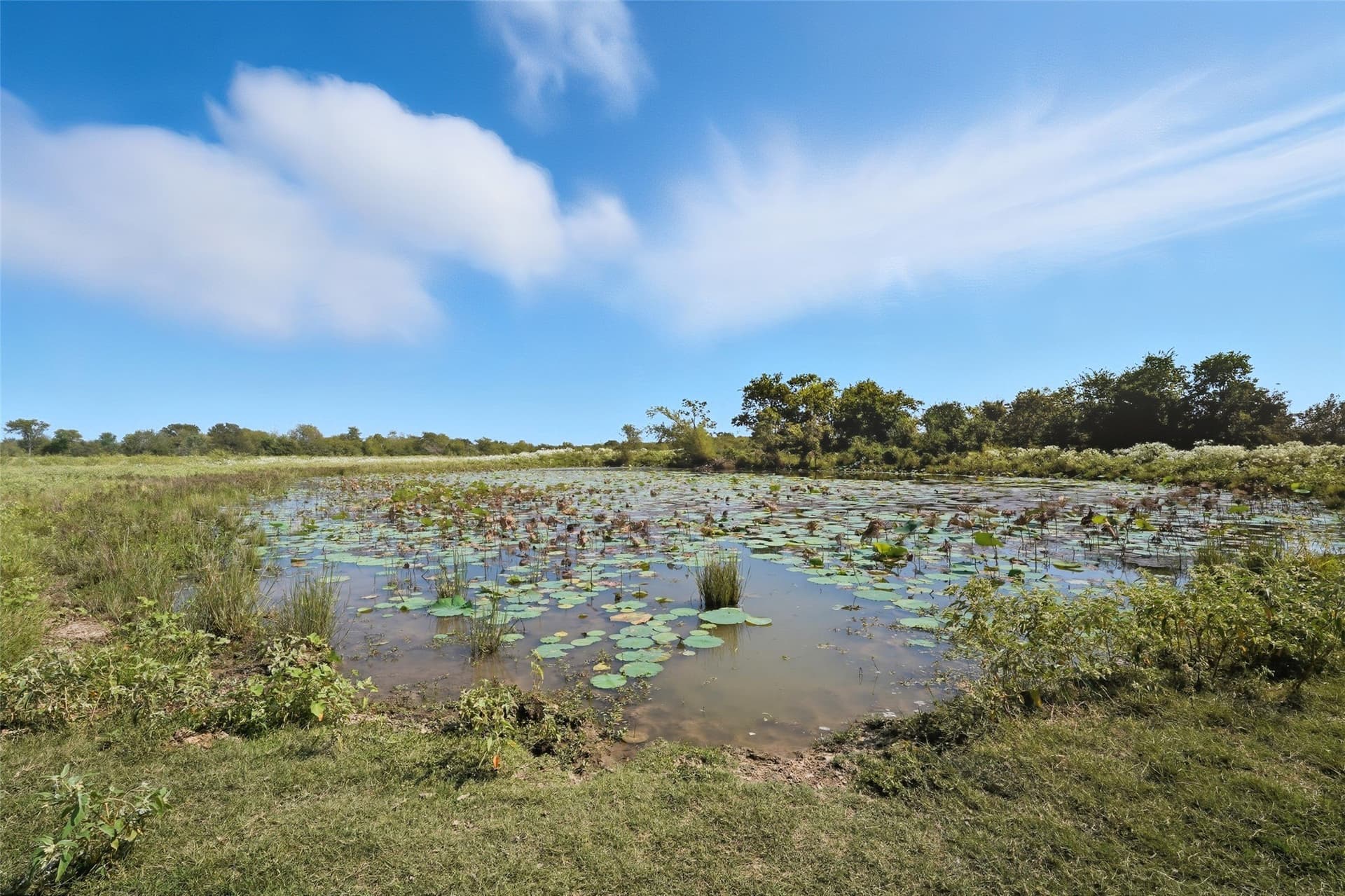 79.96 acres in Hunt County - photo 15