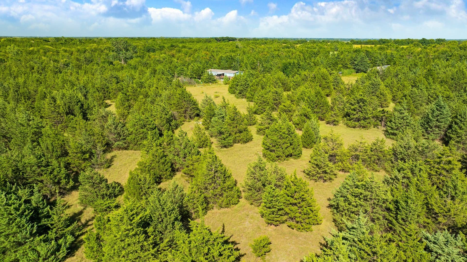 10 acres in Lamar County - photo 21