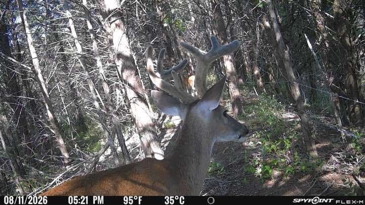 10 acres in Lamar County - photo 22