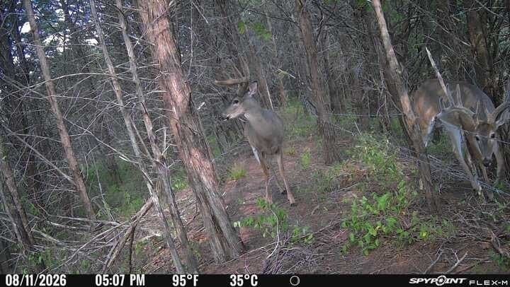 10 acres in Lamar County - photo 23