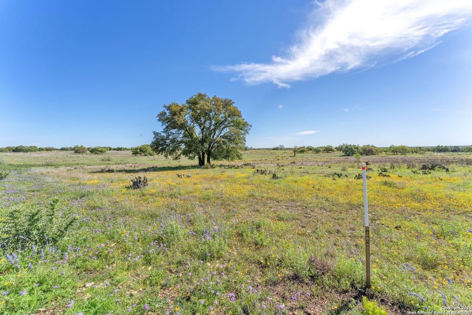5.25 acres in Kerr County