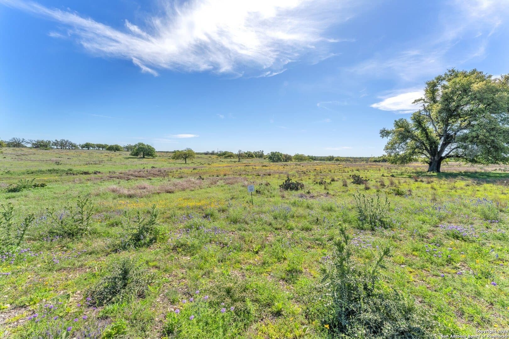 5.25 acres in Kerr County - photo 3
