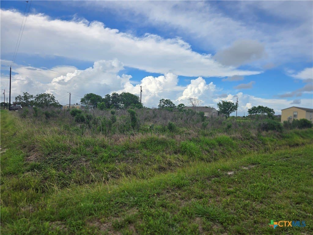 0.17 acres in Calhoun County gallery image 2