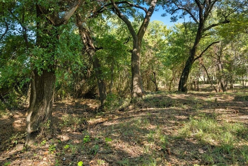 1 acres in Parker County gallery image 4