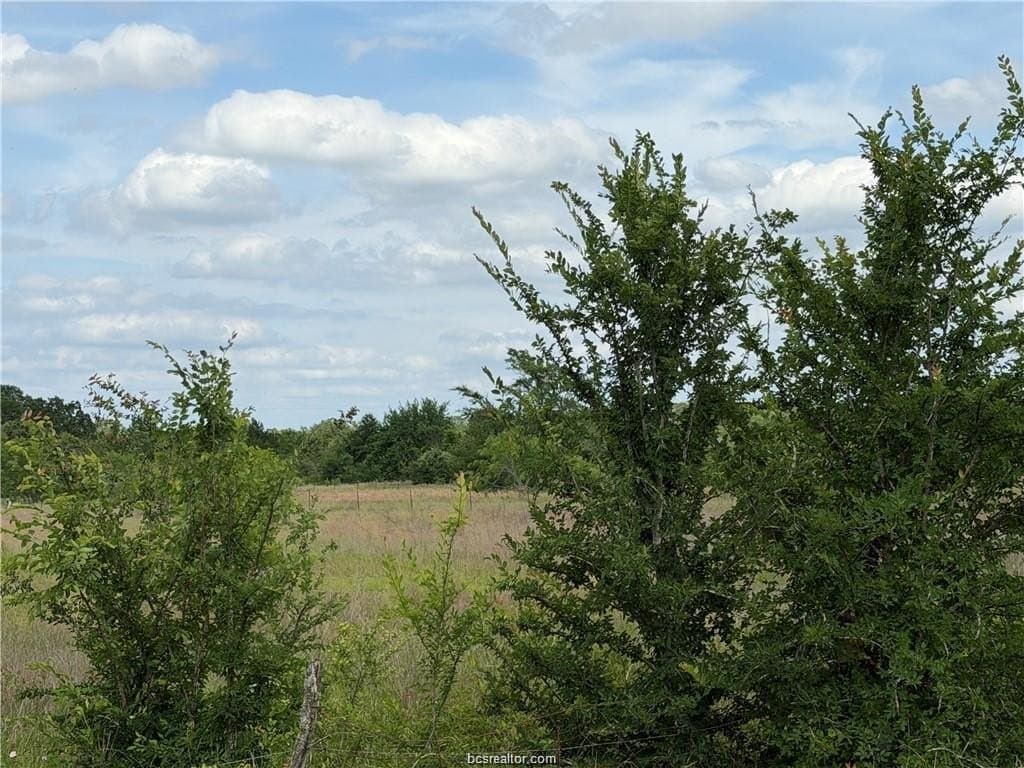 2.35 acres in Brazos County - photo 6
