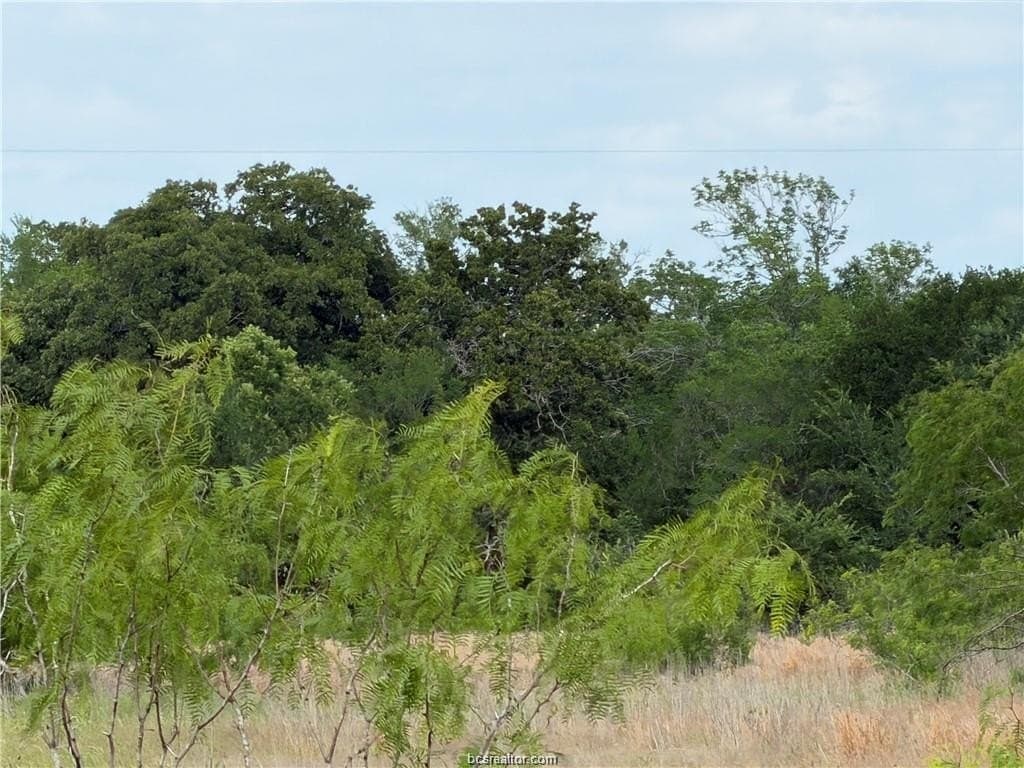 2.35 acres in Brazos County - photo 7