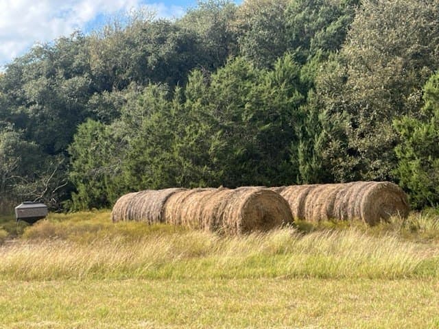17.29 acres in Bosque County - photo 10