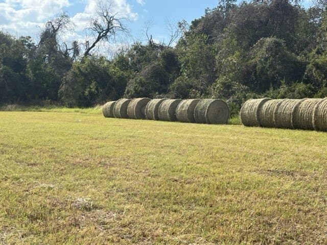 17.29 acres in Bosque County - photo 24