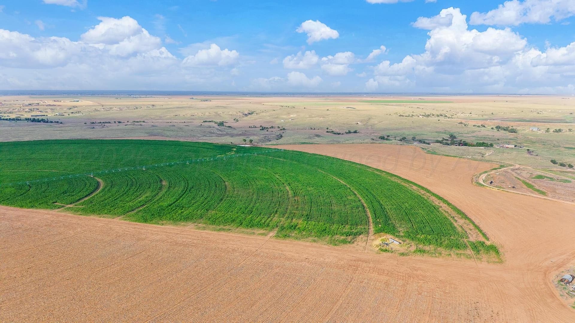 272 acres in Randall County - photo 6