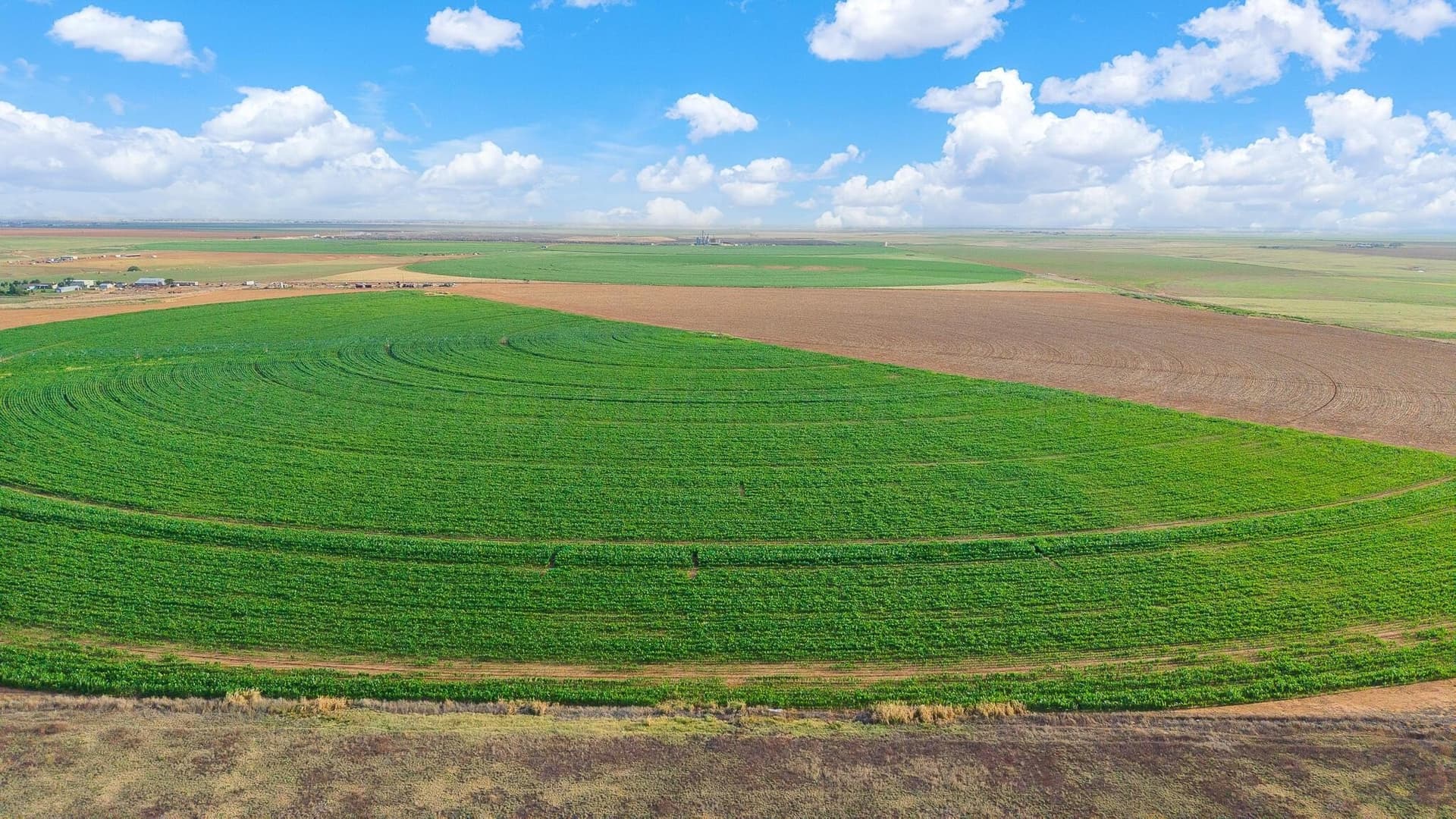 272 acres in Randall County - photo 9