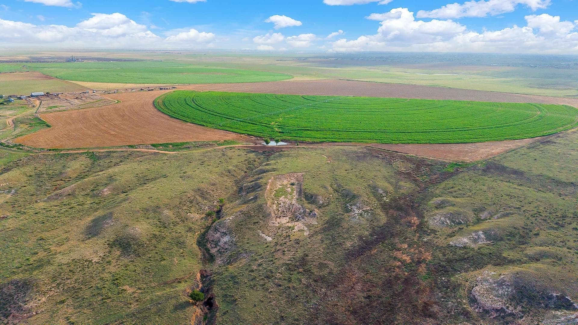 272 acres in Randall County - photo 10