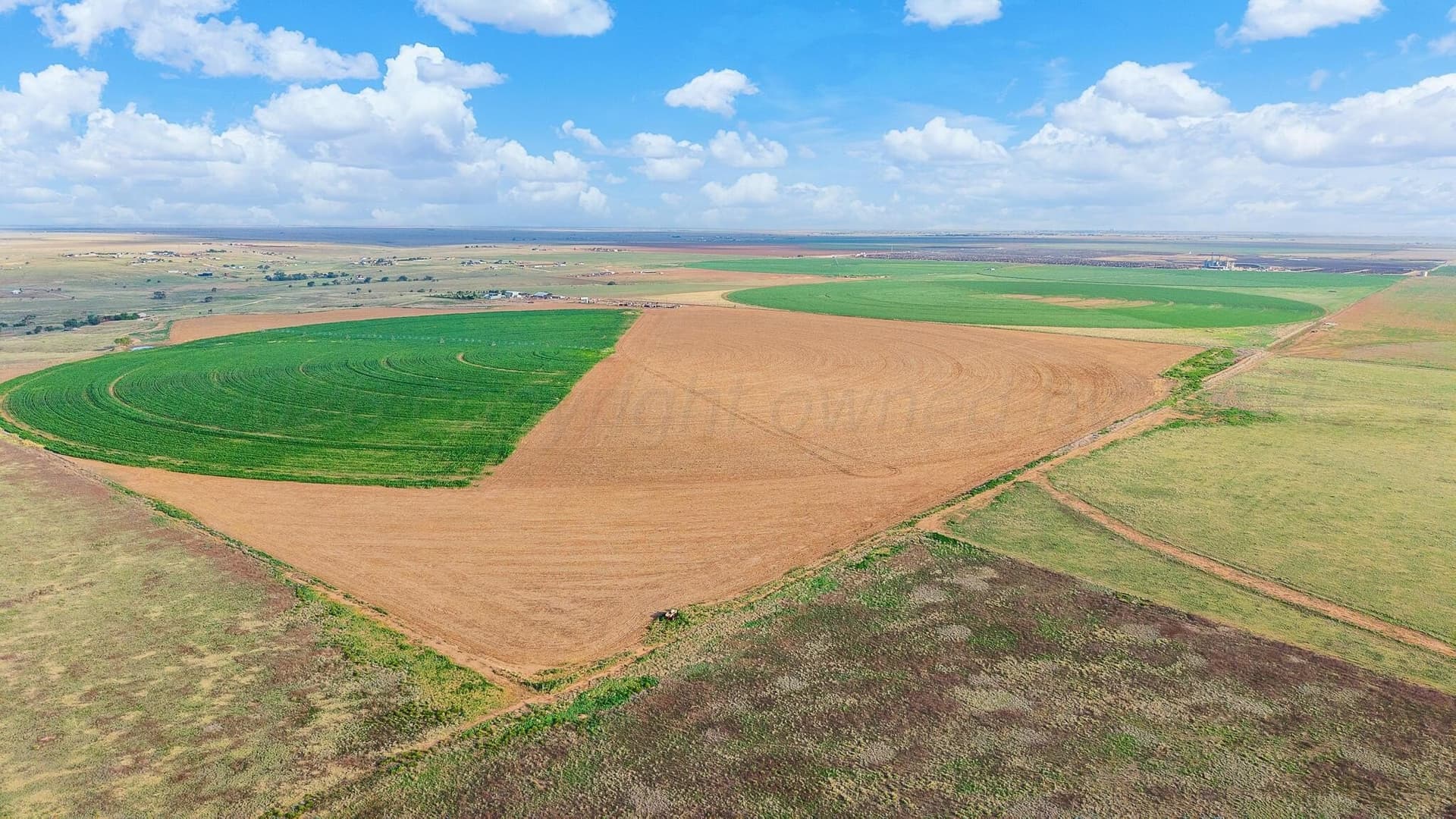 272 acres in Randall County - photo 8