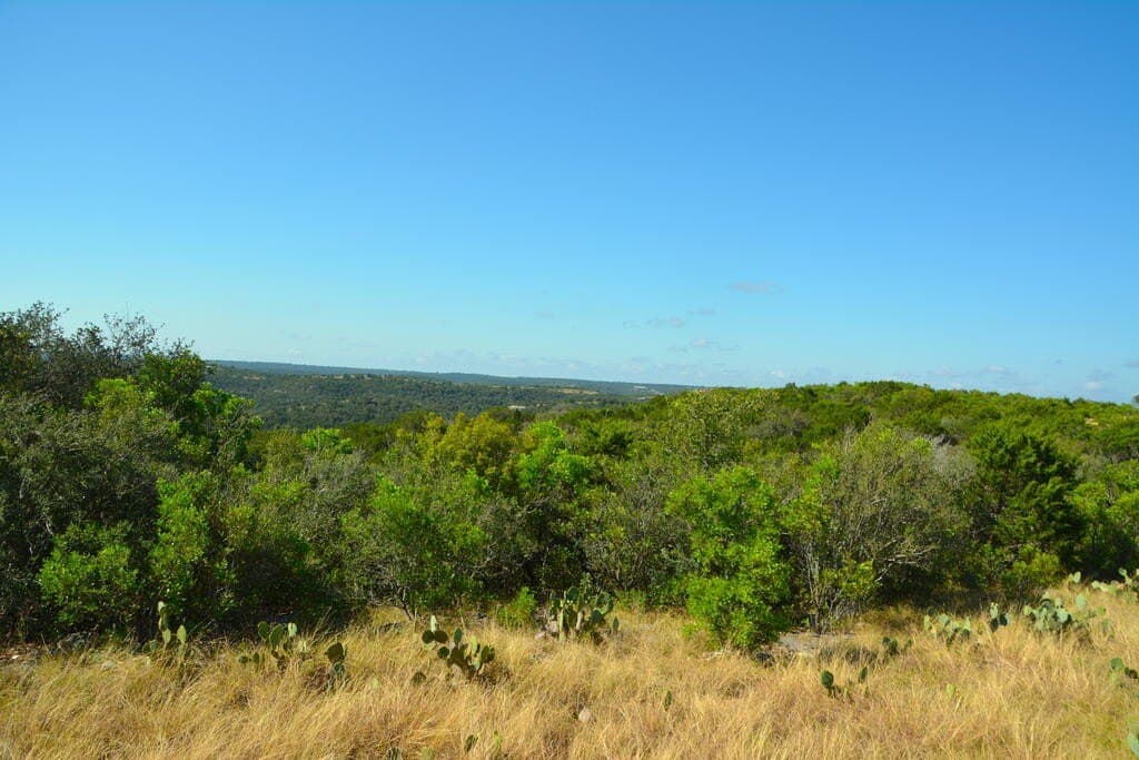 141.66 acres in Real County - photo 18