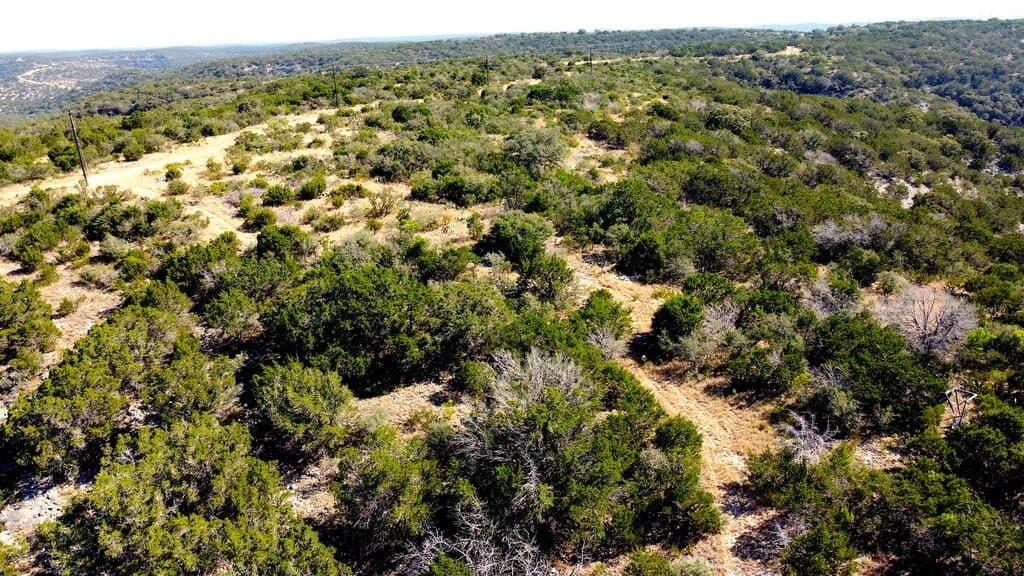 141.66 acres in Real County - photo 13