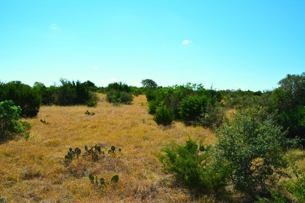 141.66 acres in Real County - photo 20