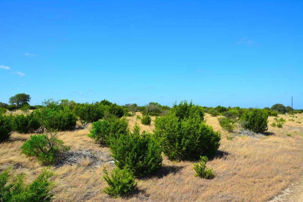 141.66 acres in Real County - photo 19