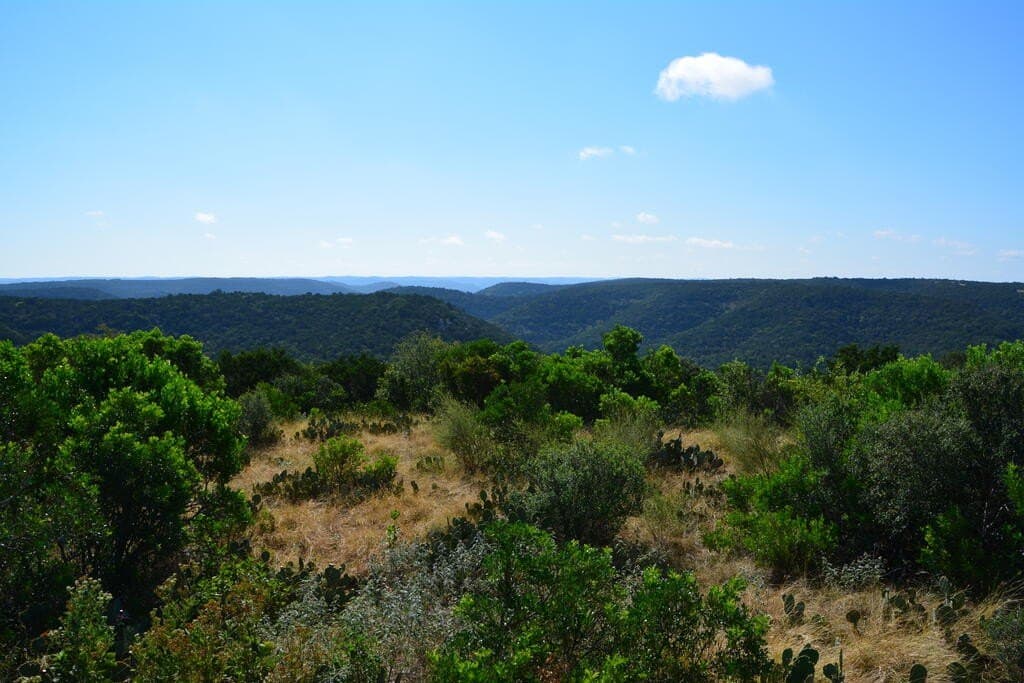 141.66 acres in Real County - photo 2