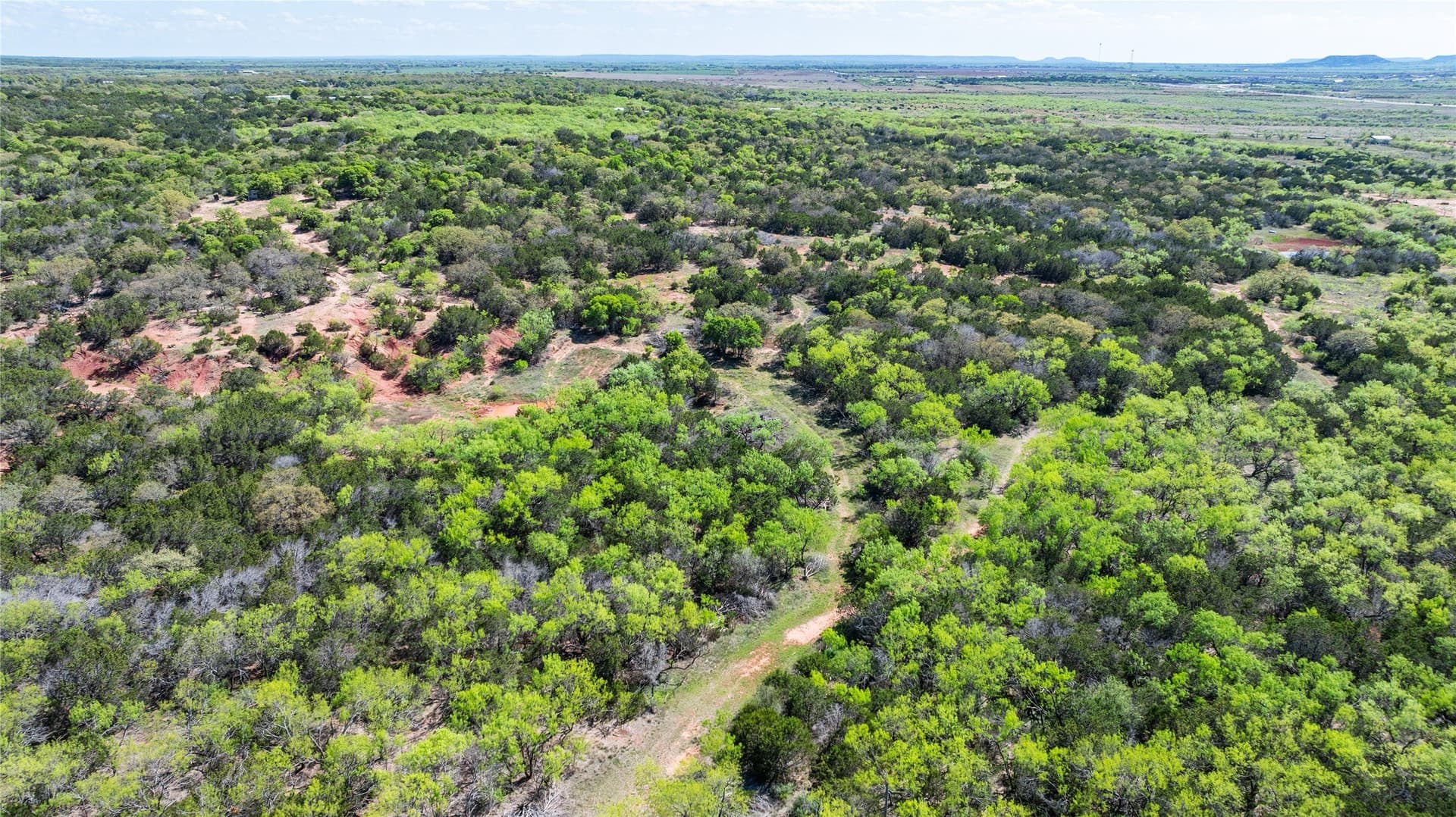 69.29 acres in Taylor County - photo 12