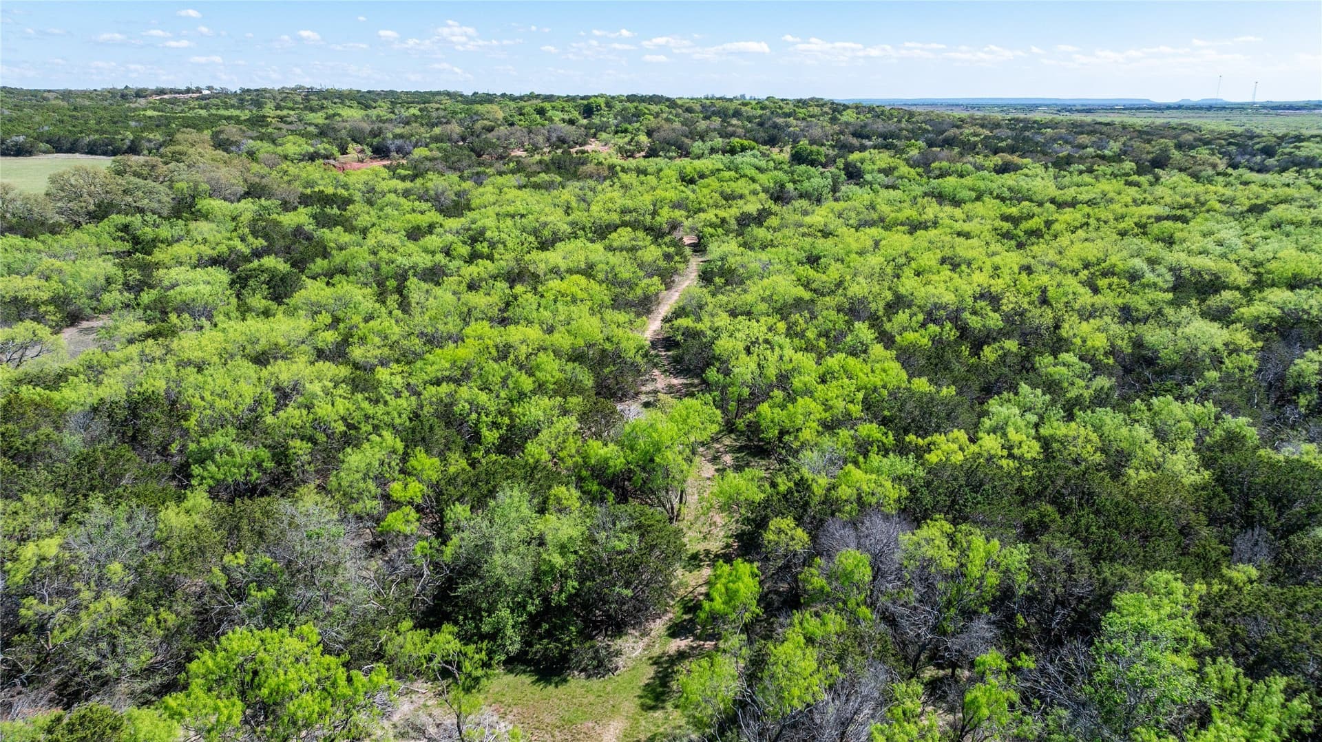 69.29 acres in Taylor County - photo 11