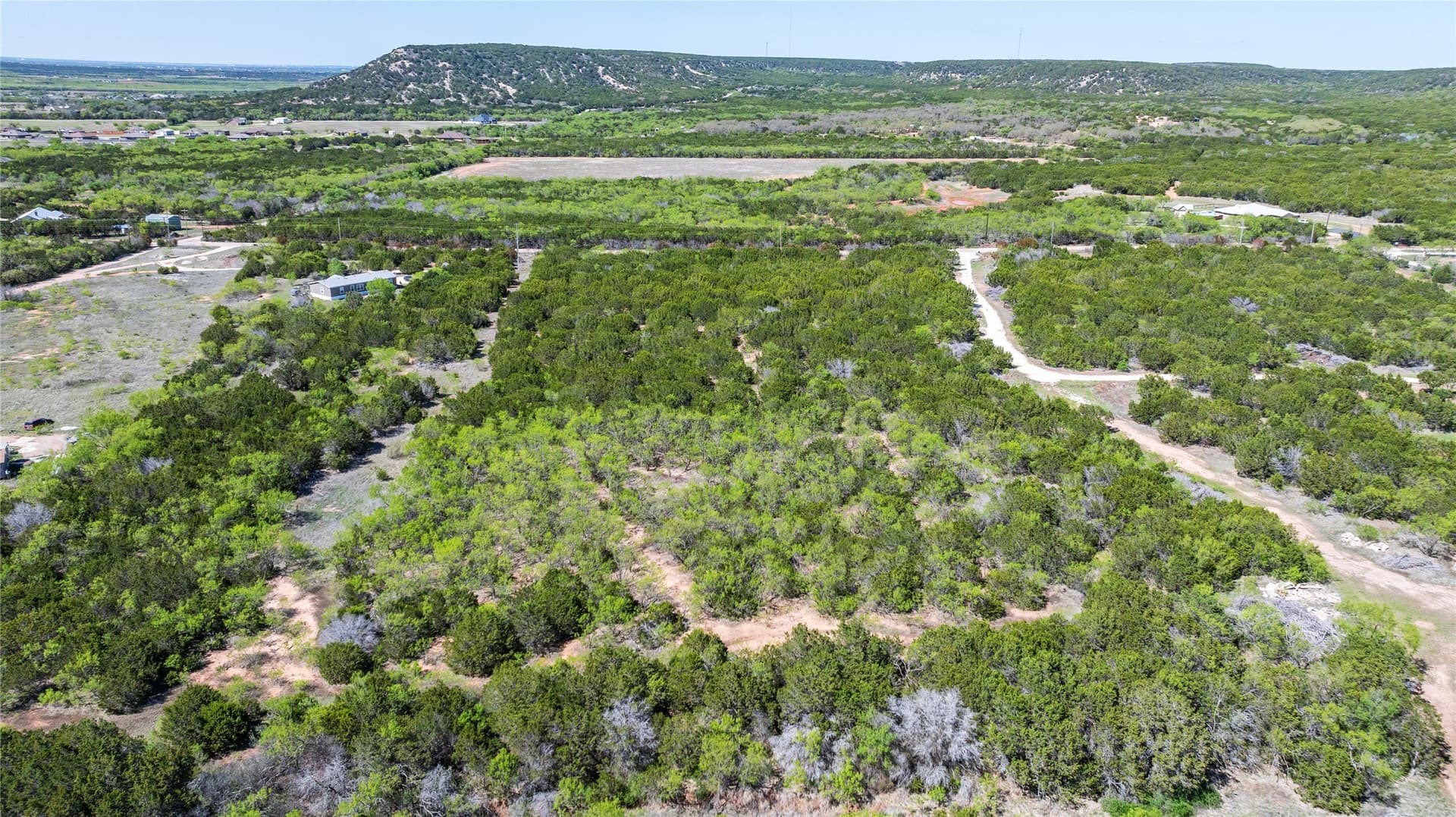 69.29 acres in Taylor County - photo 6