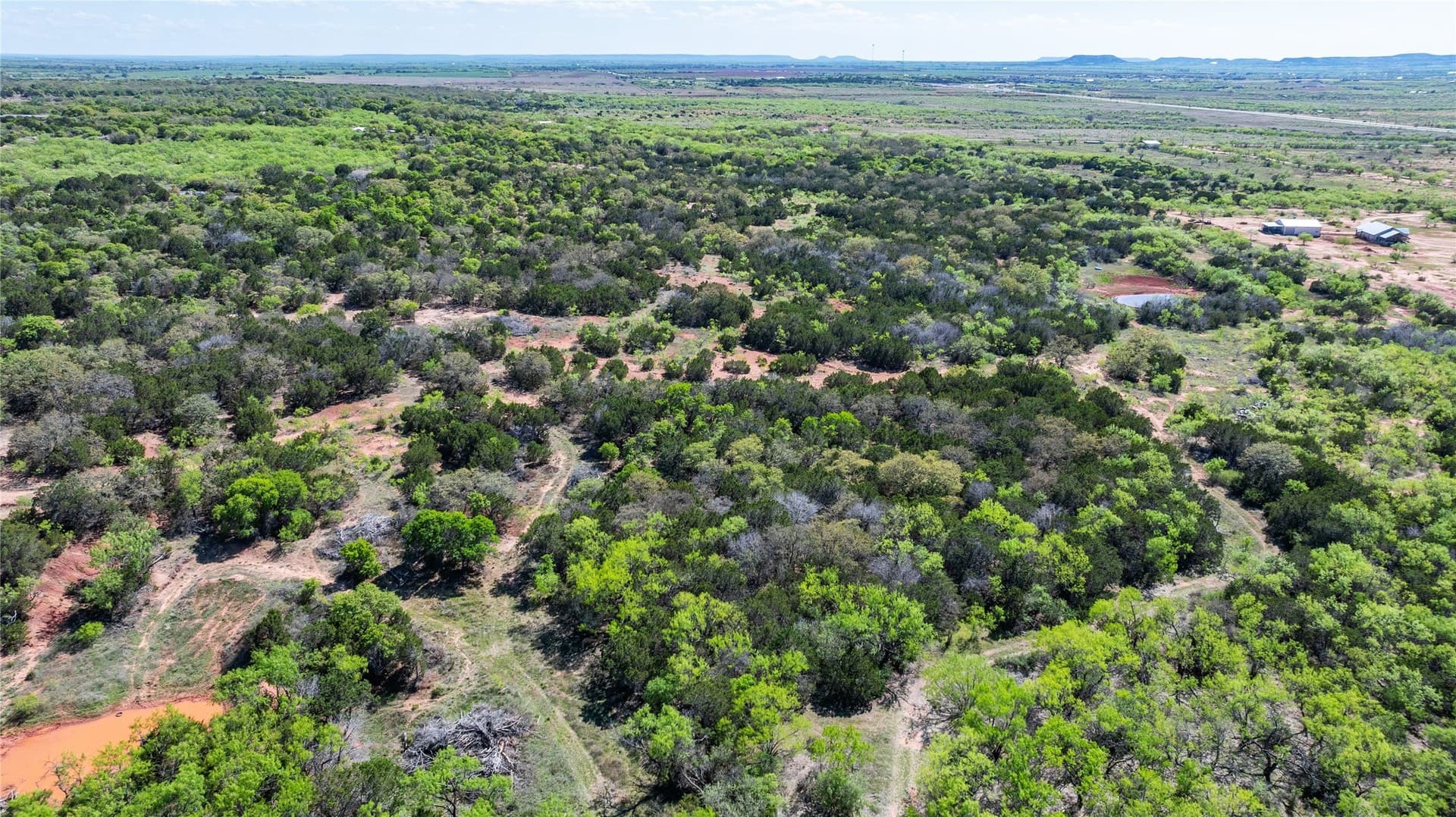 69.29 acres in Taylor County - photo 13