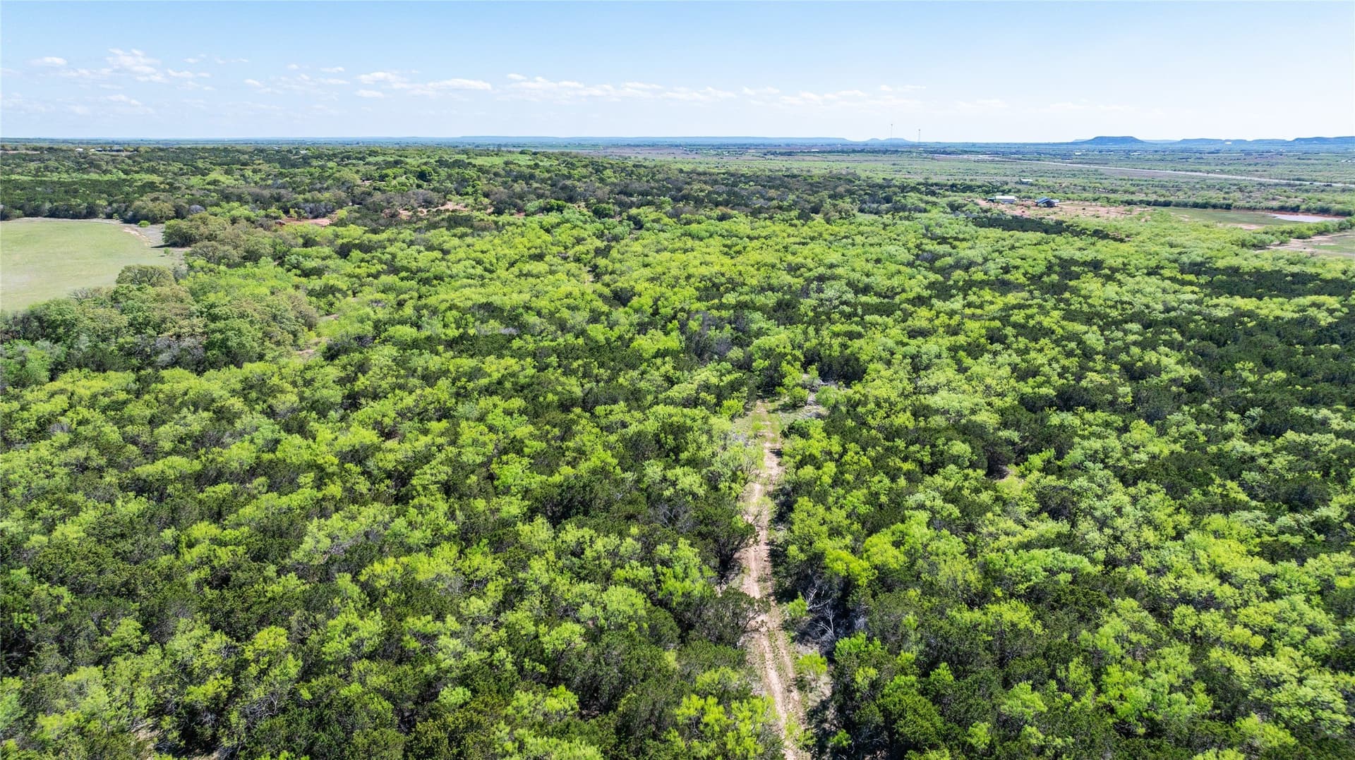 69.29 acres in Taylor County - photo 8