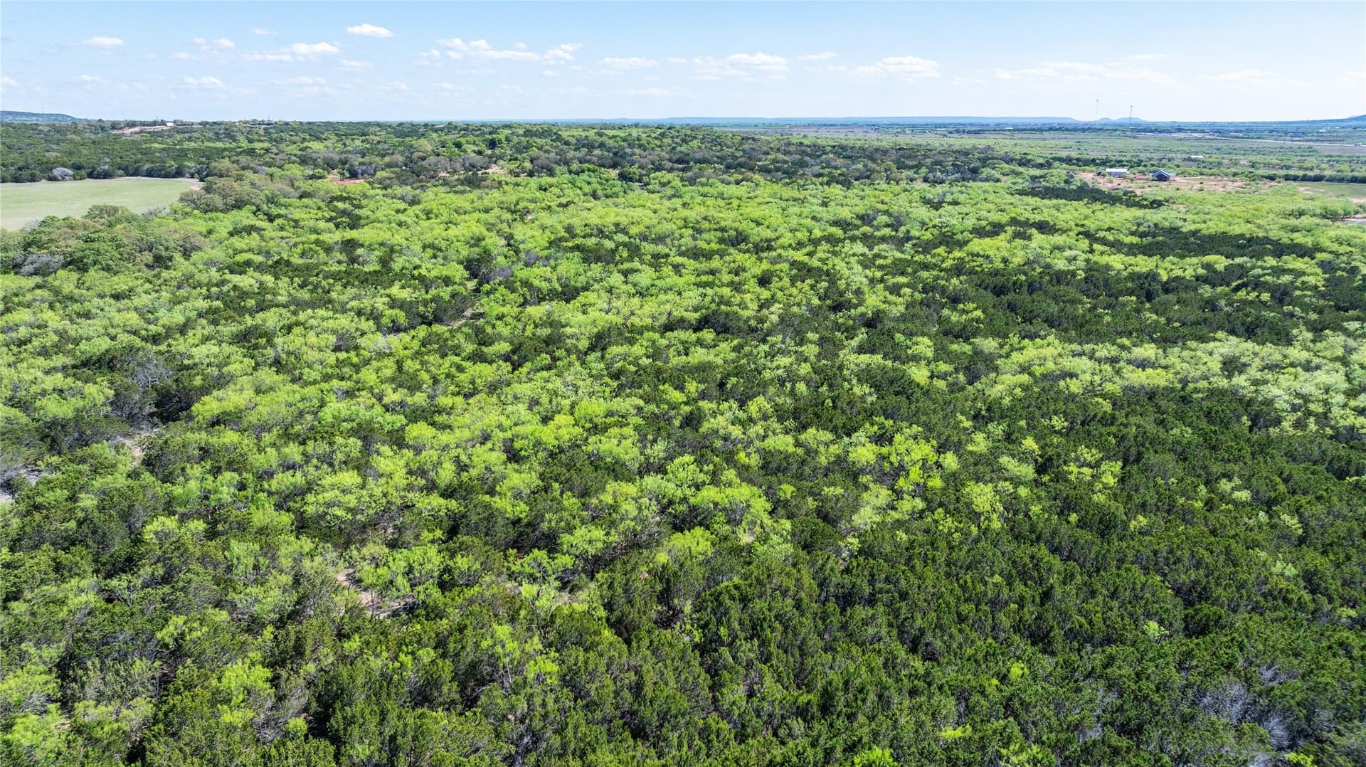 69.29 acres in Taylor County - photo 29