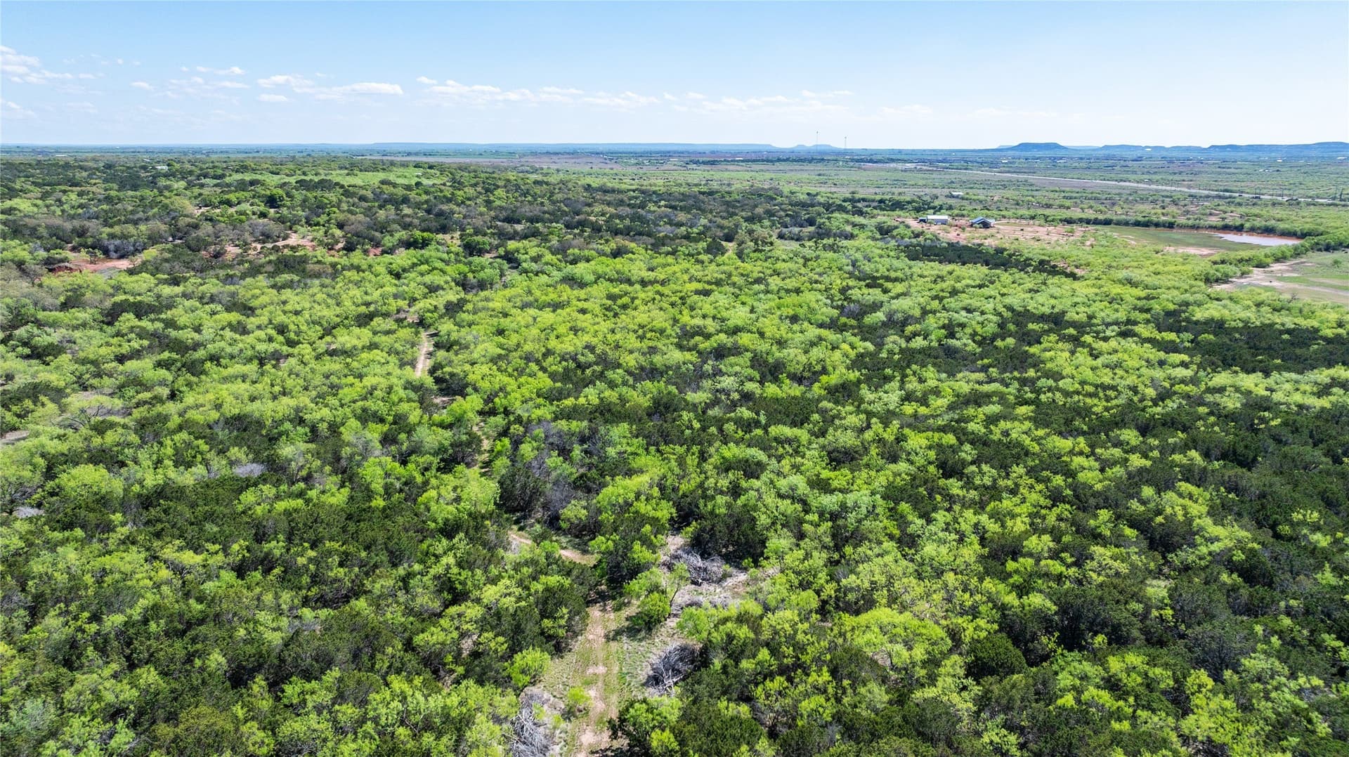 69.29 acres in Taylor County - photo 10