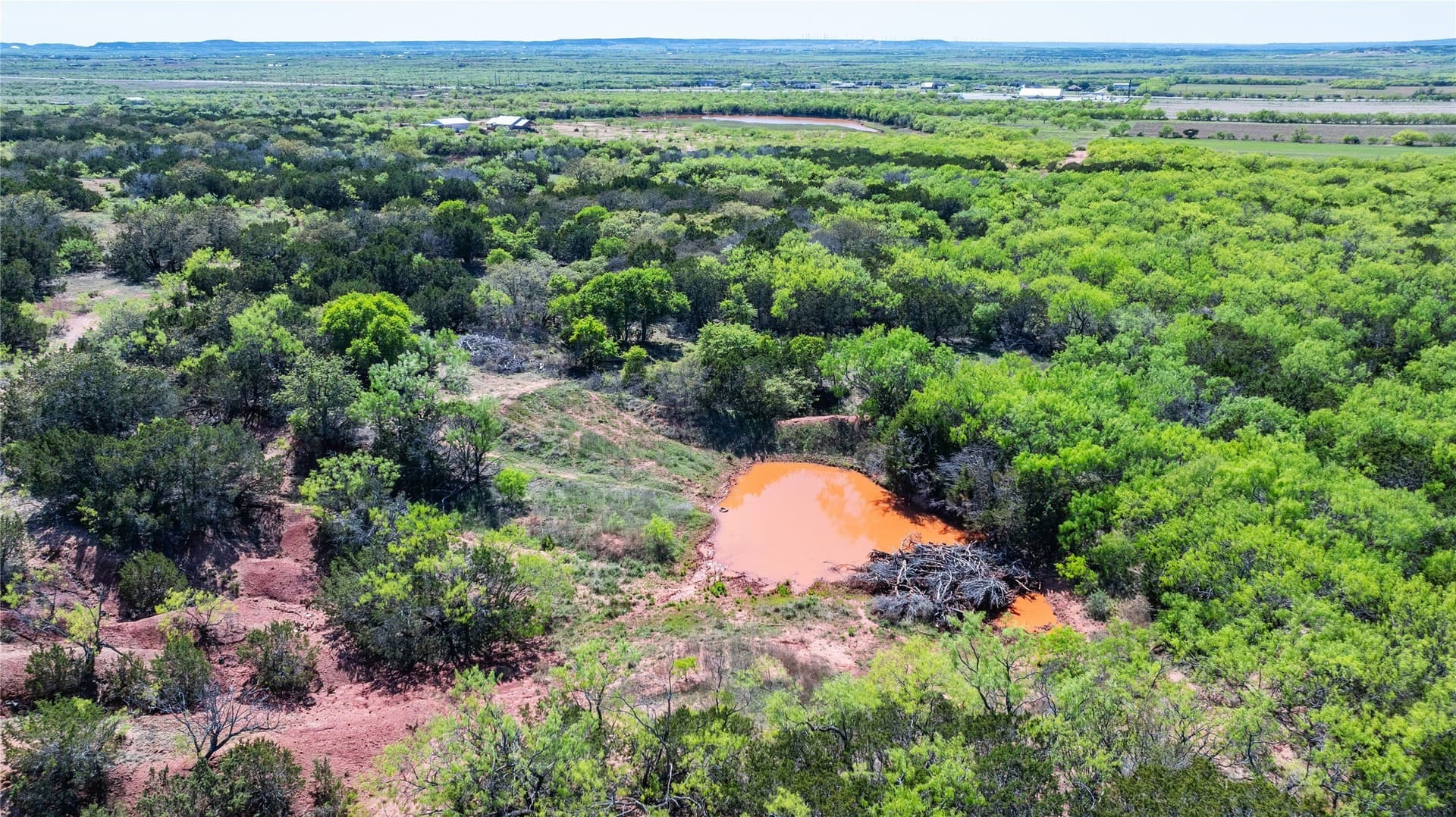 69.29 acres in Taylor County - photo 15