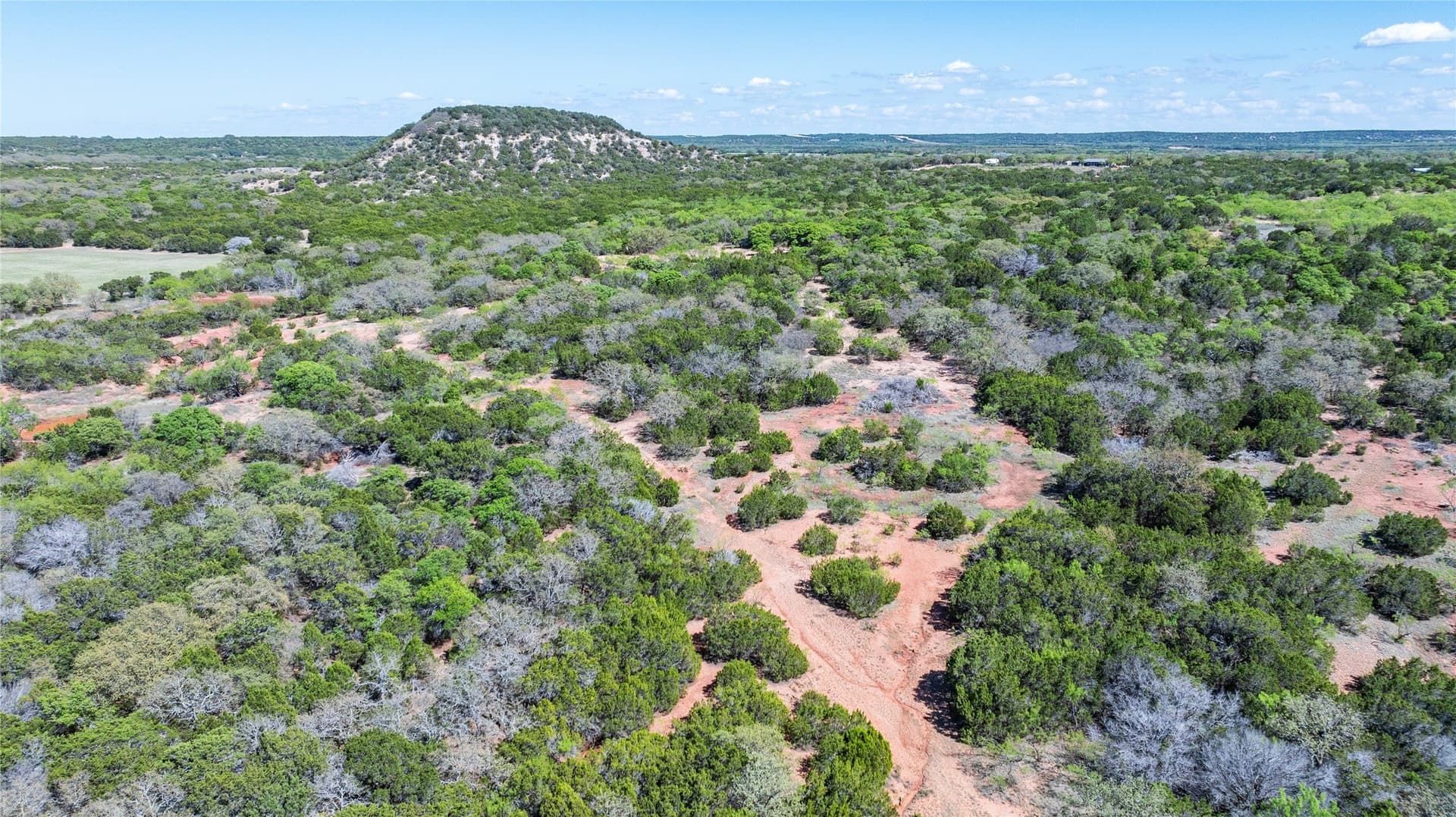 69.29 acres in Taylor County - photo 26