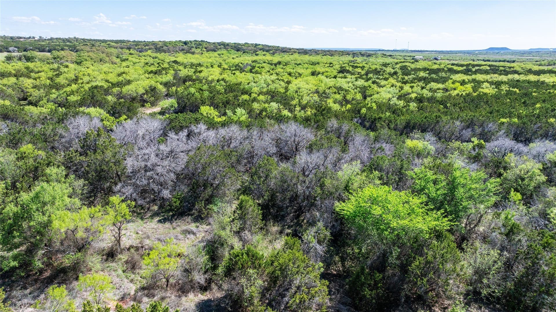 69.29 acres in Taylor County - photo 7