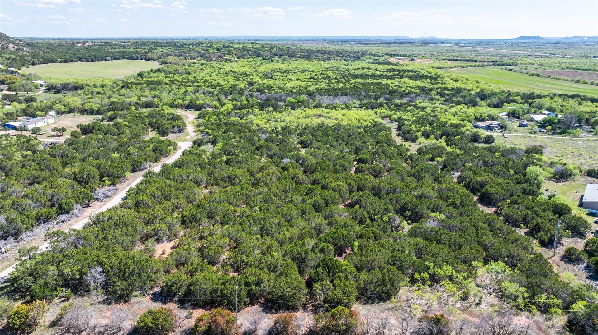 69.29 acres in Taylor County - photo 31