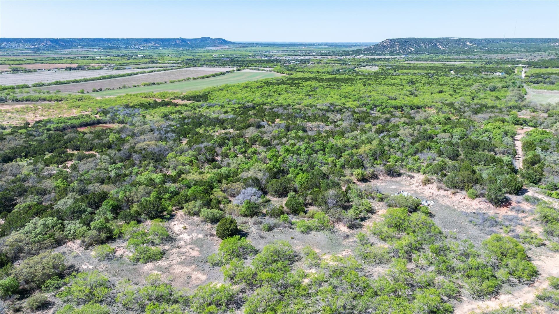 69.29 acres in Taylor County - photo 21