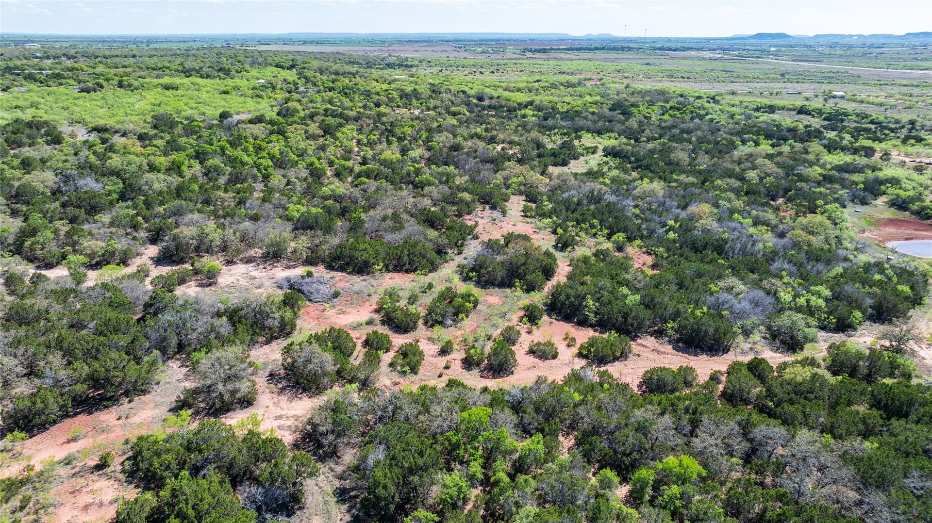69.29 acres in Taylor County - photo 14