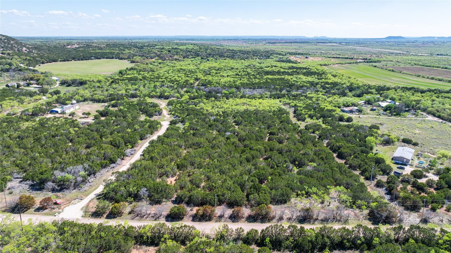 69.29 acres in Taylor County gallery image 2