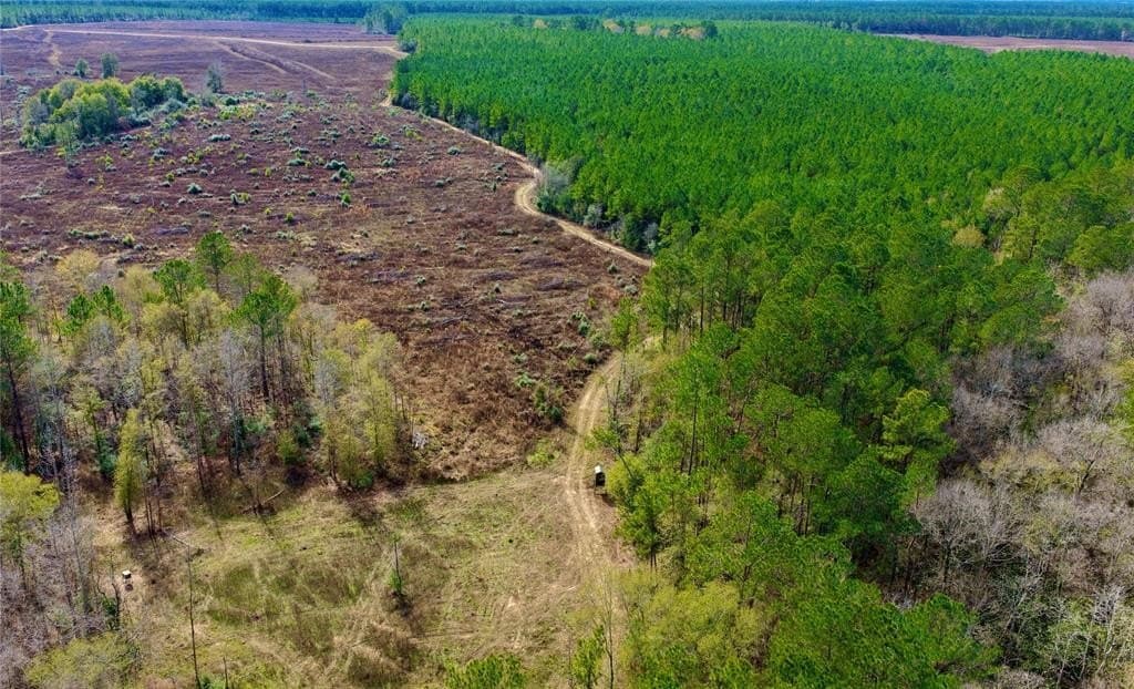 140 acres in Polk County gallery image 3