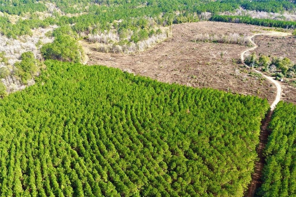 140 acres in Polk County featured view