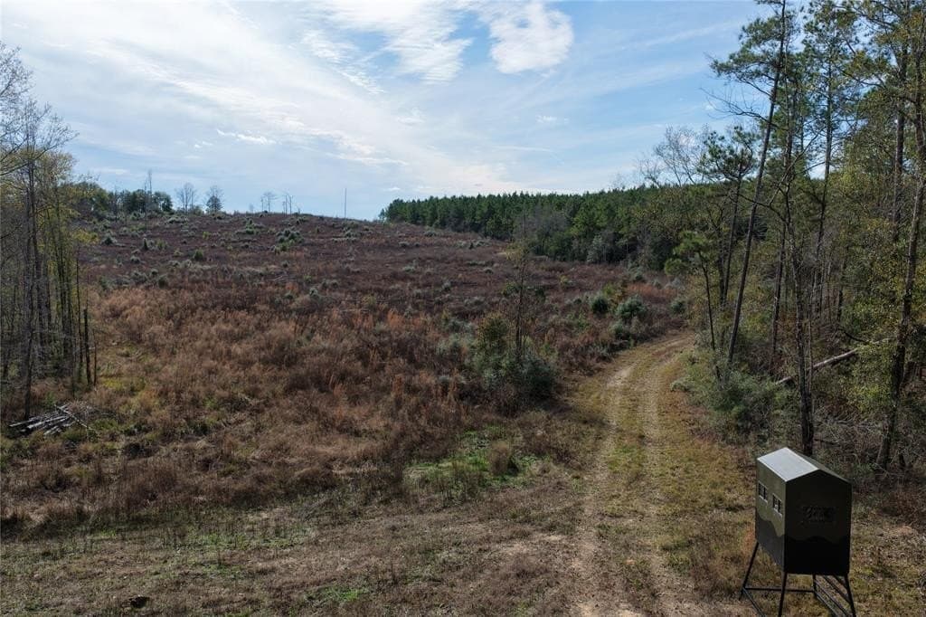 140 acres in Polk County