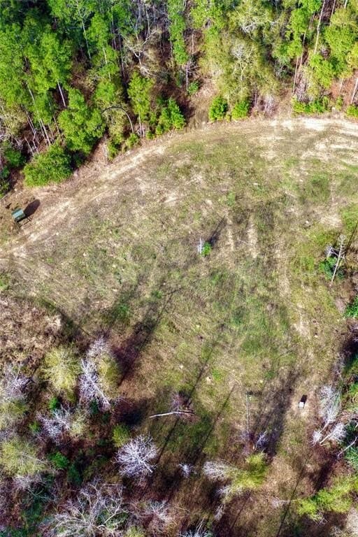 140 acres in Polk County gallery image 2