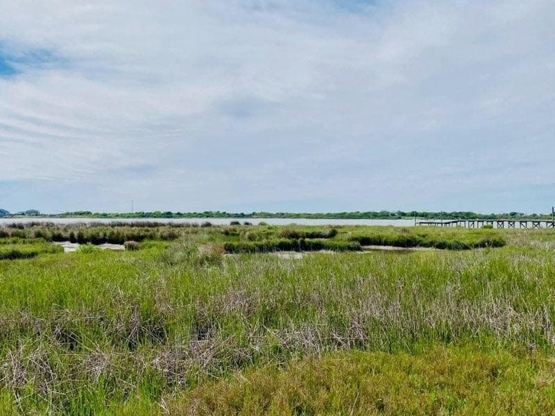 0.93 acres in Palacios Area County - photo 4