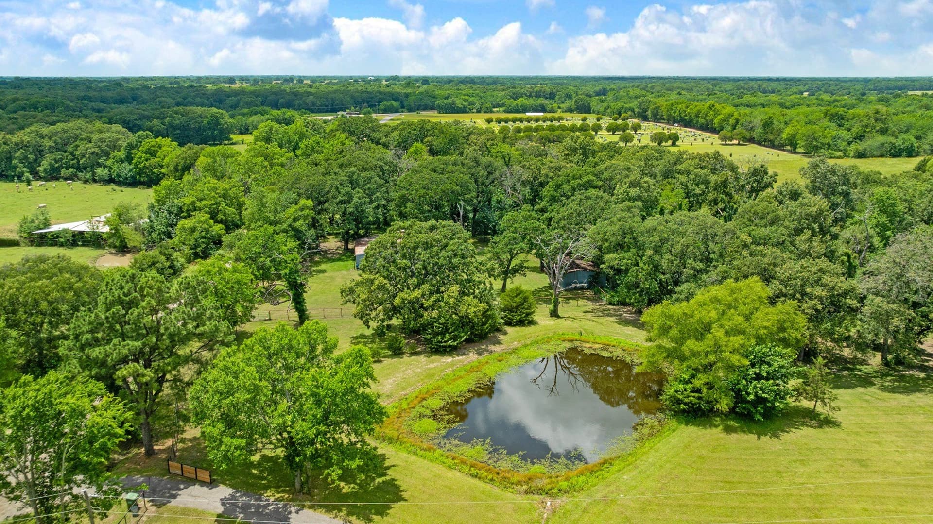 52.22 acres in Lamar County - photo 37