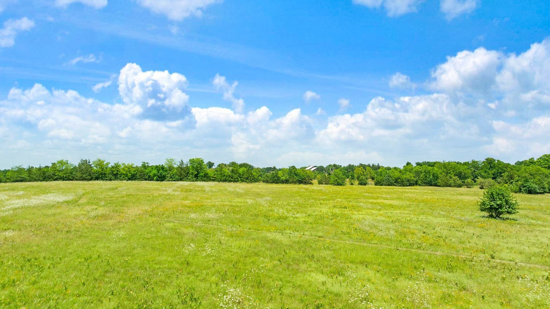 52.22 acres in Lamar County - photo 33