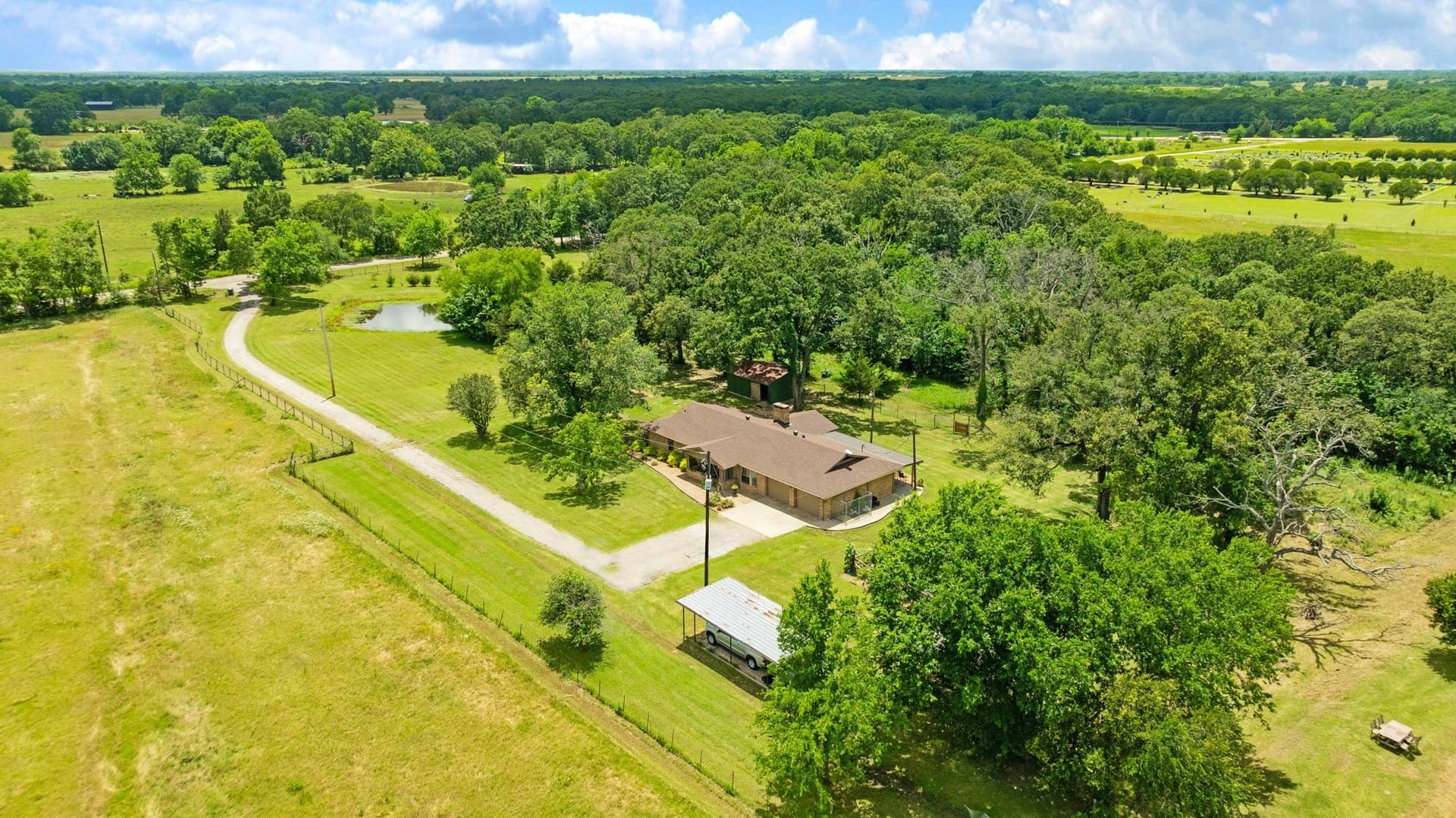 52.22 acres in Lamar County gallery image 3