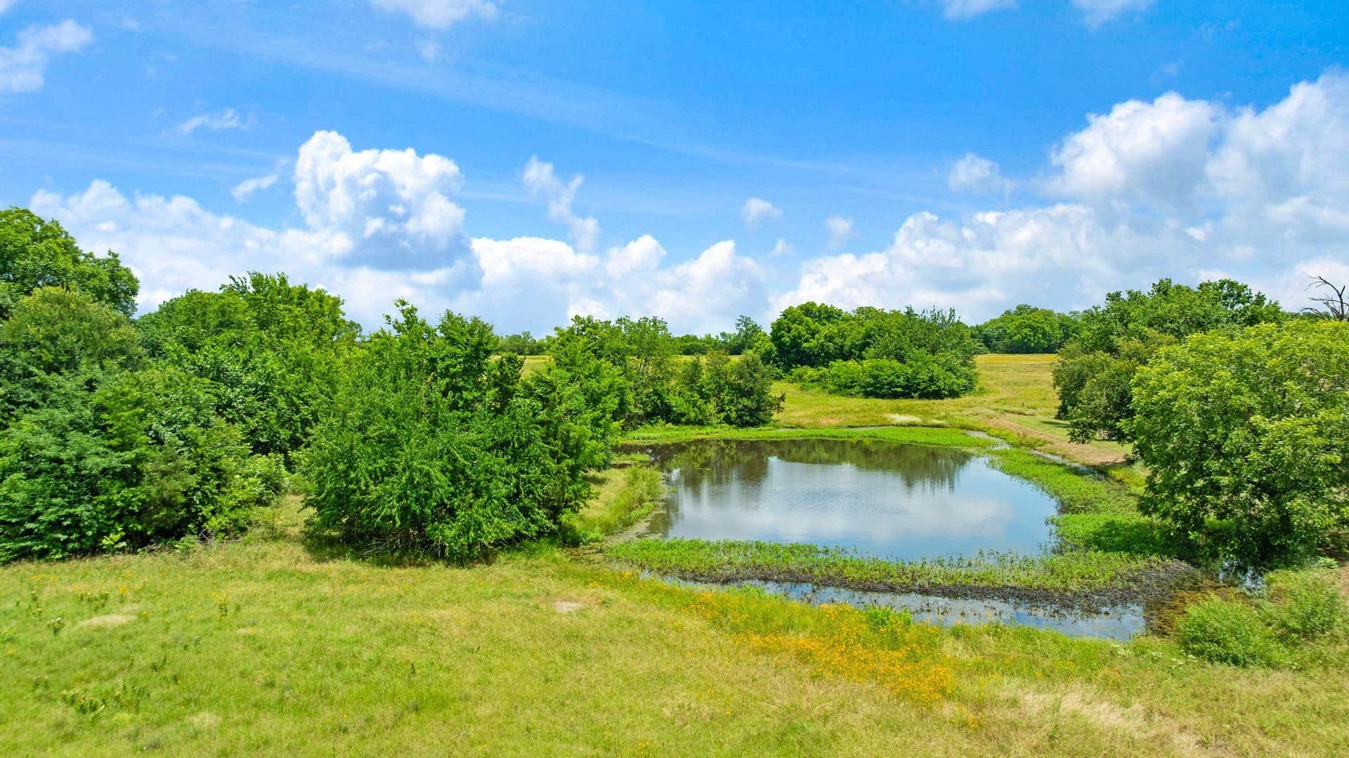 52.22 acres in Lamar County - photo 34