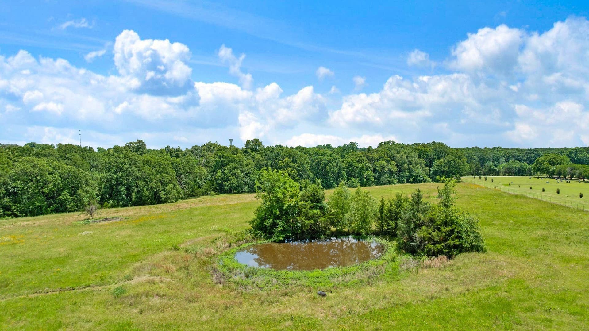 52.22 acres in Lamar County - photo 31