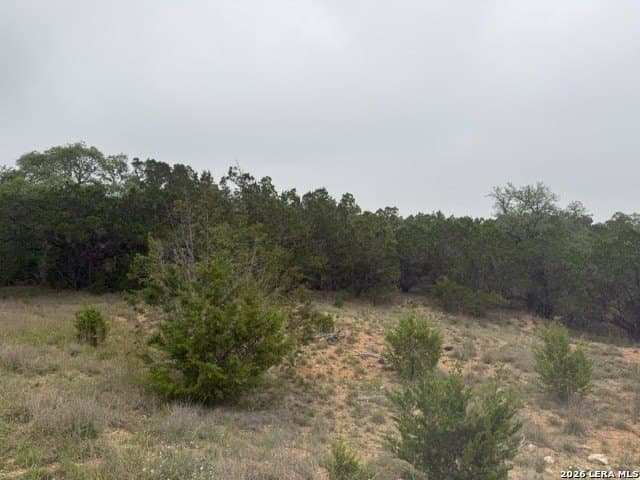 2.05 acres in Blanco County gallery image 3