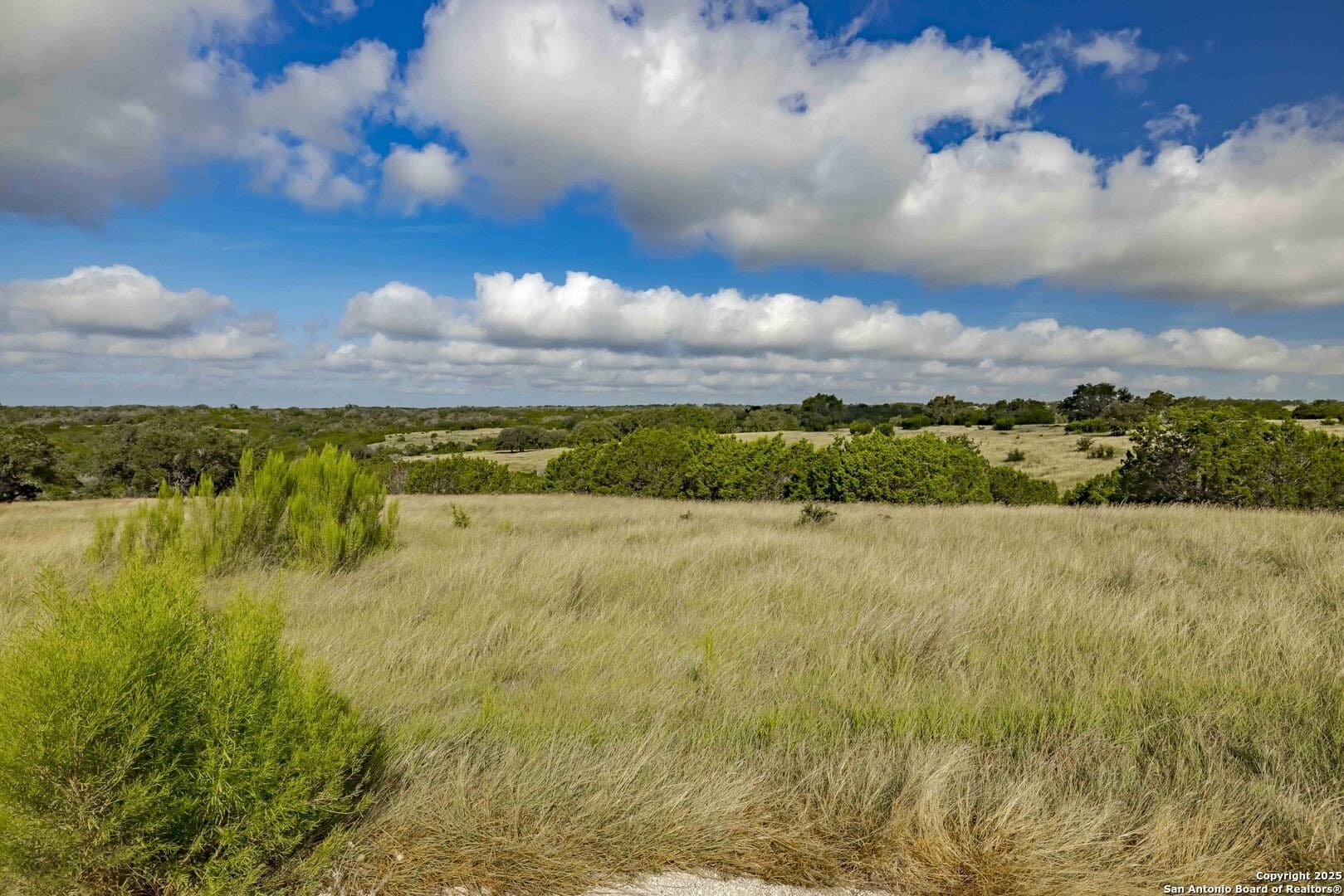 15.01 acres in Gillespie County featured view